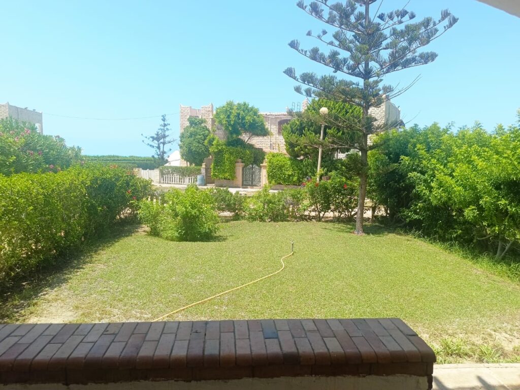 IMG-20240731-WA0057
