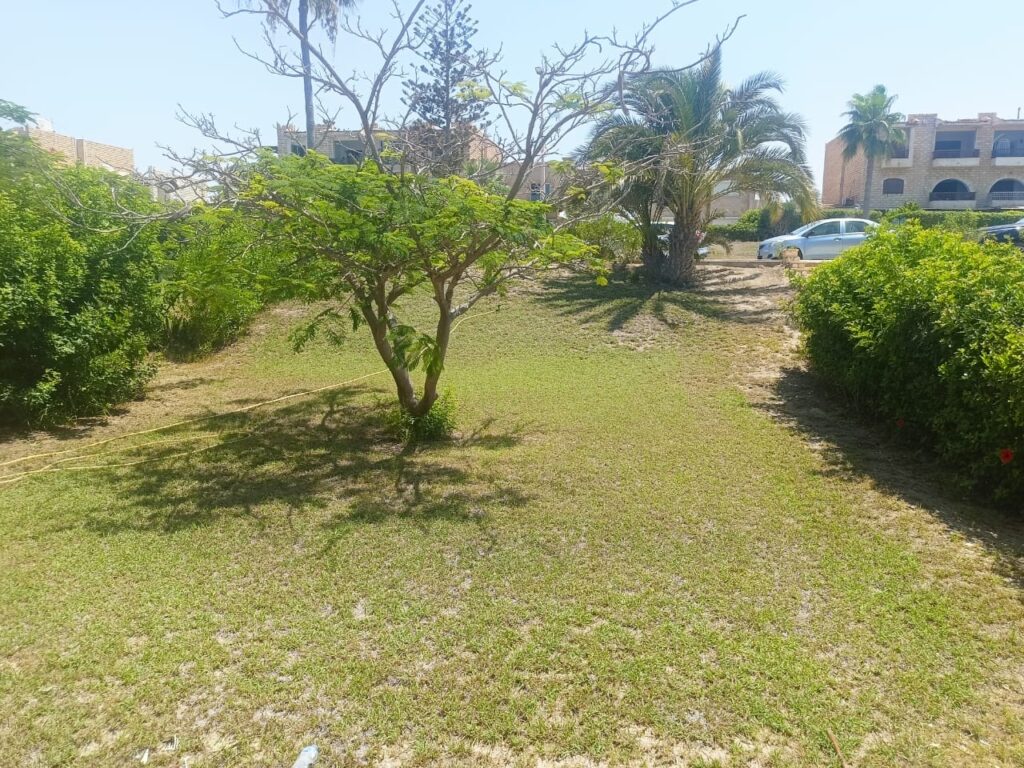 IMG-20240731-WA0069