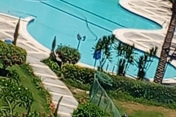استوديو 47م للإيجار في بورتو جولف 🏖️ دور ثامن بإطلالة مباشرة على حمام السباحة