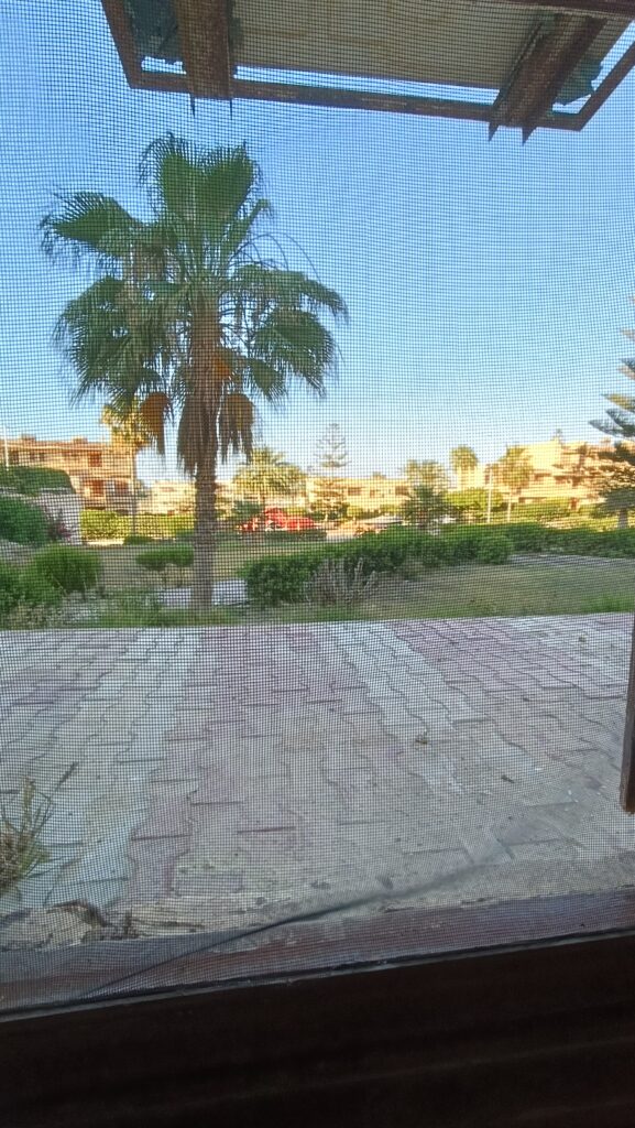 IMG20260524185537