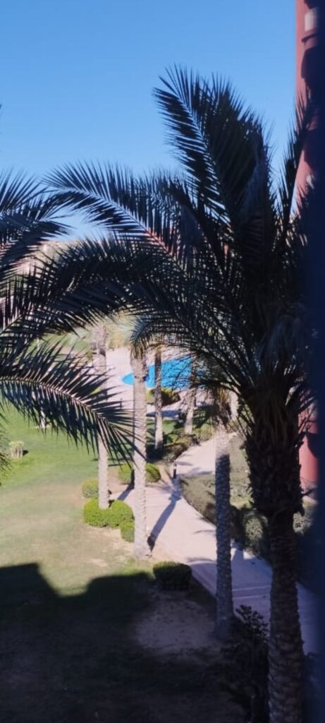 Screenshot_٢٠٢٦-٠٦-١٠-١٦-٥٢-٥٢-٥٦_7352322957d4404136654ef4adb64504