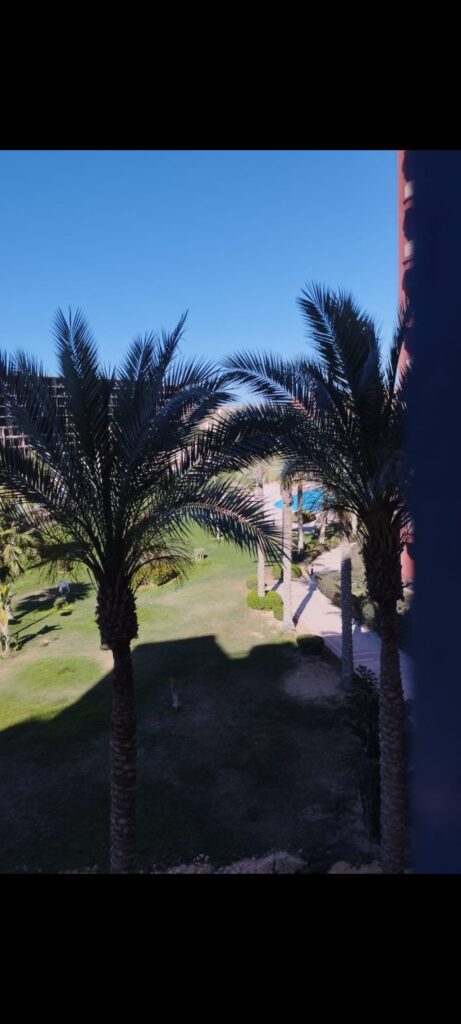 Screenshot_٢٠٢٦-٠٦-١٠-١٦-٥٢-٥٦-٠٢_7352322957d4404136654ef4adb64504